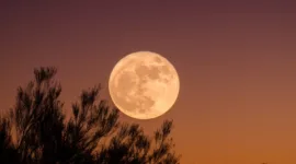Jadwal Full Moon 2026 Lengkap, Catat Tanggal Buck Moon hingga Cold Moon