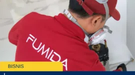 Rayap Datang Diam-Diam, Kenali 8 Tanda Sebelum Rumah Rusak