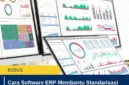 Cara Software ERP Membantu Standarisasi Proses Kerja