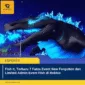 Fish It, Terbaru 7 Fakta Event New Forgotten dan Limited Admin Event Fish di Roblox