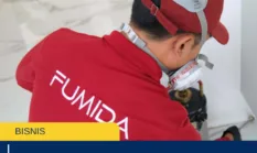 Rayap Datang Diam-Diam, Kenali 8 Tanda Sebelum Rumah Rusak