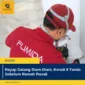 Rayap Datang Diam-Diam, Kenali 8 Tanda Sebelum Rumah Rusak