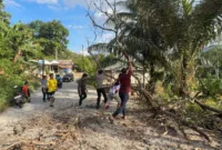 Polisi bersama warga langsung turun tangan. Pohon dievakuasi dan material yang menutup jalan dibersihkan.