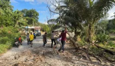 Polisi bersama warga langsung turun tangan. Pohon dievakuasi dan material yang menutup jalan dibersihkan.