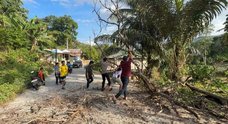 Jalan Kena ‘Palang’ Pohon, Polisi Pujananting Langsung Gercep!