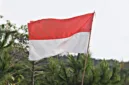 Inilah sejarah bendera merah putih Indonesia yang mengungkap akar tradisi, masa perjuangan, Proklamasi, makna warna, dan kedudukannya sebagai simbol. (Foto: Unsplash)