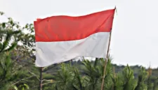 Inilah sejarah bendera merah putih Indonesia yang mengungkap akar tradisi, masa perjuangan, Proklamasi, makna warna, dan kedudukannya sebagai simbol. (Foto: Unsplash)