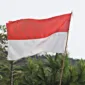 Sejarah Bendera Merah Putih, Fakta Menarik di Balik Simbol Kebanggaan Indonesia