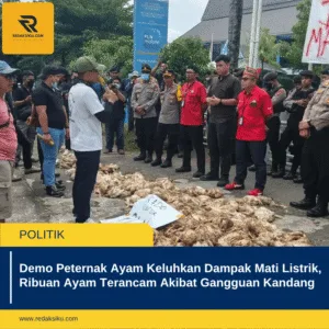 Demo Peternak Ayam Keluhkan Dampak Mati Listrik, Ribuan Ayam Terancam Akibat Gangguan Kandang Demo Peternak Ayam Keluhkan Dampak Mati Listrik, Ribuan Ayam Terancam Akibat Gangguan Kandang