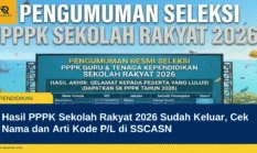 Hasil PPPK Sekolah Rakyat 2026 Sudah Keluar, Cek Nama dan Arti Kode P/L di SSCASN