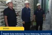 Pabrik Gula Indonesia Terus Didorong, Ini Kondisi Produksi dan Tantangan Industri Gula