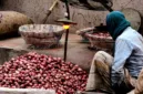 Ilustrasi buruh kupas bawang Rp700 ribu menuai perhatian. (Foto: Unsplash) 
