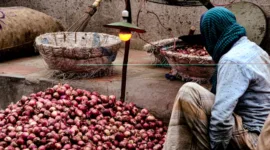 Upah Buruh Kupas Bawang Rp700 Ribu Jadi Sorotan, Ini Fakta Upah Sebenarnya di Indonesia