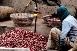 Upah Buruh Kupas Bawang Rp700 Ribu Jadi Sorotan, Ini Fakta Upah Sebenarnya di Indonesia Ilustrasi buruh kupas bawang Rp700 ribu menuai perhatian. (Foto: Unsplash)