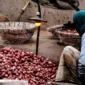 Upah Buruh Kupas Bawang Rp700 Ribu Jadi Sorotan, Ini Fakta Upah Sebenarnya di Indonesia