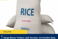Harga Beras Terbaru Jadi Sorotan, Ini Kondisi Stok, Pasokan, dan Perkembangan Beras Indonesia