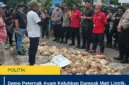 Demo Peternak Ayam Keluhkan Dampak Mati Listrik, Ribuan Ayam Terancam Akibat Gangguan Kandang