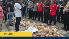 Demo Peternak Ayam Keluhkan Dampak Mati Listrik, Ribuan Ayam Terancam Akibat Gangguan Kandang