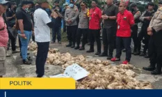 Demo Peternak Ayam Keluhkan Dampak Mati Listrik, Ribuan Ayam Terancam Akibat Gangguan Kandang
