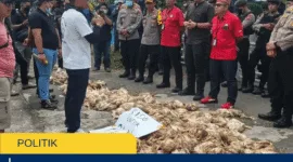 Demo Peternak Ayam Keluhkan Dampak Mati Listrik, Ribuan Ayam Terancam Akibat Gangguan Kandang