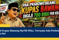 Viral Kupas Bawang Rp700 Ribu, Ternyata Ada Perbedaan Tiga Nol