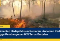 Kalimantan Hadapi Musim Kemarau, Ancaman Karhutla hingga Pembangunan IKN Terus Berjalan