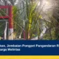 Baru Diresmikan, Jembatan Pongpet Pangandaran Rusak Saat Bupati dan Warga Melintas