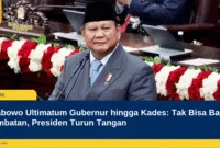 Prabowo Ultimatum Gubernur hingga Kades: Tak Bisa Bangun Jembatan, Presiden Turun Tangan