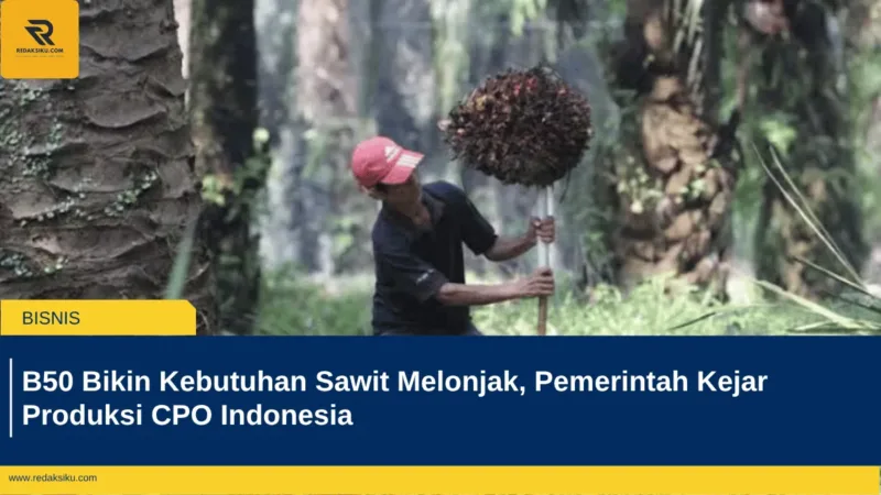 B50 Bikin Kebutuhan Sawit Melonjak, Pemerintah Kejar Produksi CPO Indonesia