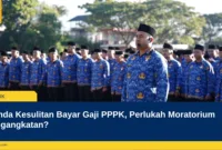 Pemda Kesulitan Bayar Gaji PPPK, Perlukah Moratorium Pengangkatan?