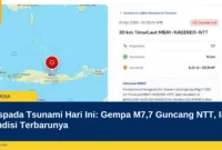 Waspada Tsunami Hari Ini: Gempa M7,7 Guncang NTT, Ini Kondisi Terbarunya
