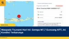 Waspada Tsunami Hari Ini: Gempa M7,7 Guncang NTT, Ini Kondisi Terbarunya