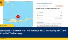 Waspada Tsunami Hari Ini: Gempa M7,7 Guncang NTT, Ini Kondisi Terbarunya