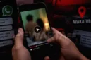 Video asusila berdurasi 6 menit 11 detik asal Wakatobi viral dan menjadi perbincangan warganet sejak Selasa, 15 September 2026.