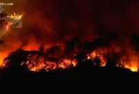 Status Tanggap Darurat Karhutla — Petugas gabungan memadamkan kebakaran hutan dan lahan di Kotawaringin Timur