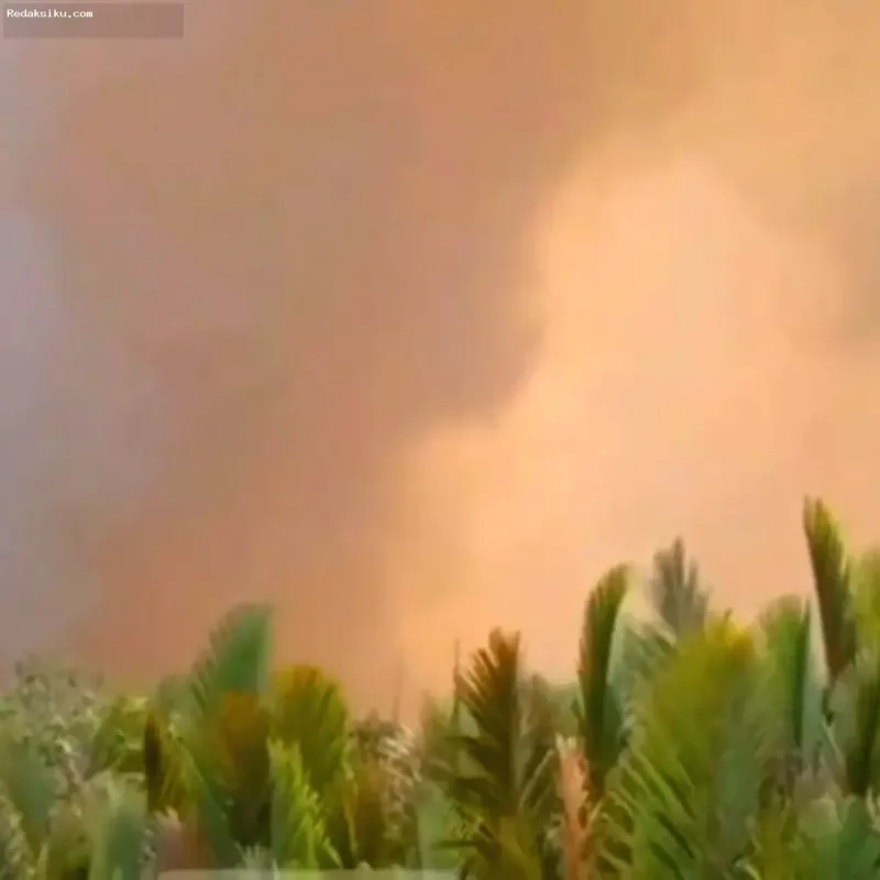 Kabut asap tebal menyelimuti area landasan pacu Bandara Tjilik Riwut di Palangka Raya akibat kebakaran hutan.