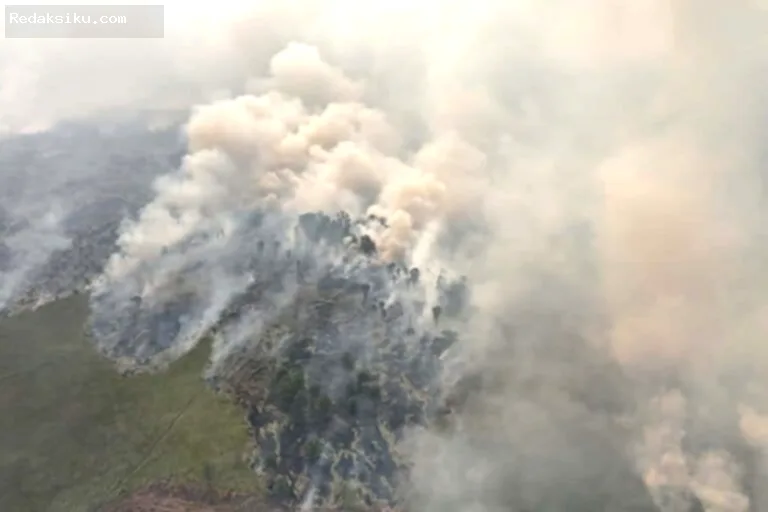 luas karhutla — Asap tebal membubung dari lahan yang terbakar di tengah hutan Indonesia pada Agustus 2026.