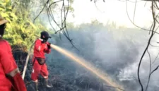 Kebakaran hutan dan lahan di Kalimantan Tengah kembali membara serta memicu kabut asap pekat yang membahayakan kesehatan warga.