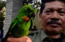 BKSDA Jambi berhasil menggagalkan penyelundupan ratusan burung dilindungi dari Kerinci menuju Muaro Jambi.