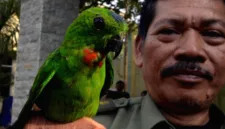 BKSDA Jambi berhasil menggagalkan penyelundupan ratusan burung dilindungi dari Kerinci menuju Muaro Jambi.
