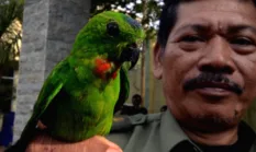 BKSDA Jambi Gagalkan Penyelundupan Ratusan Burung Dilindungi