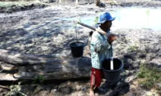 Kekeringan Landa NTB, Sembilan Daerah Tetapkan Status Darurat