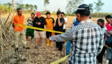 Warga digegerkan oleh penemuan kerangka manusia di area persawahan Desa Beloh, Kecamatan Trowulan, Mojokerto.