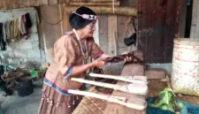 Tobani Tiku telaten memproses kulit kayu beringin menjadi kain tradisional kumu nunu di Desa Mataue.