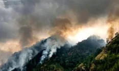Karhutla Gunung Wilis Belum Padam, Medan Curam Hambat Petugas