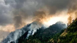 Karhutla Gunung Wilis Belum Padam, Medan Curam Hambat Petugas