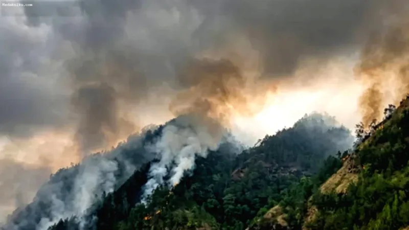 Karhutla Gunung Wilis — Petugas gabungan berupaya memadamkan kebakaran hutan dan lahan di kawasan Gunung Wilis yang bermedan curam.