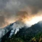 Karhutla Gunung Wilis Belum Padam, Medan Curam Hambat Petugas
