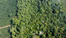 Krisis air bersih melanda Hutan Adat Benak, Kabupaten Bangka, dan menyulitkan warga Suku Mapur di tengah musim kemarau.