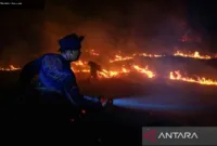 Hotspot Karhutla Kalbar — Menteri Kehutanan Raja Juli Antoni membahas lonjakan titik panas karhutla di Kalbar dan Kalteng